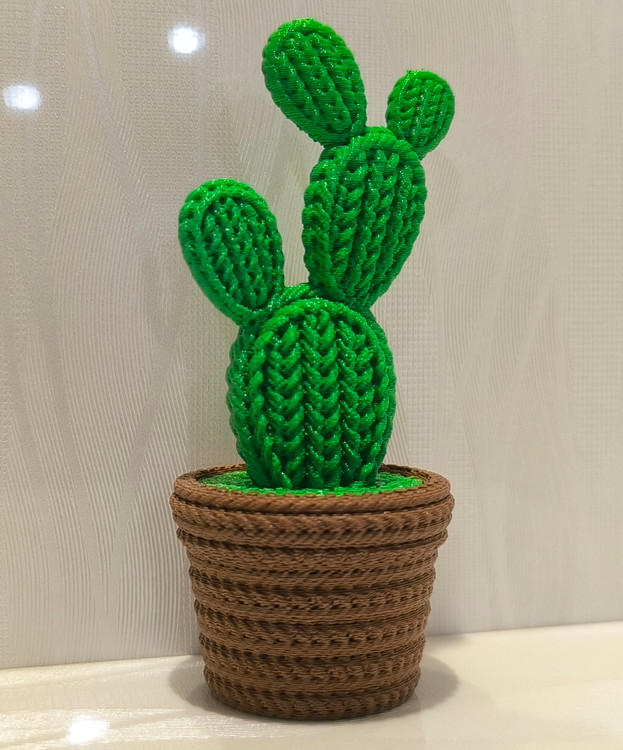 کاکتوس شماره 1